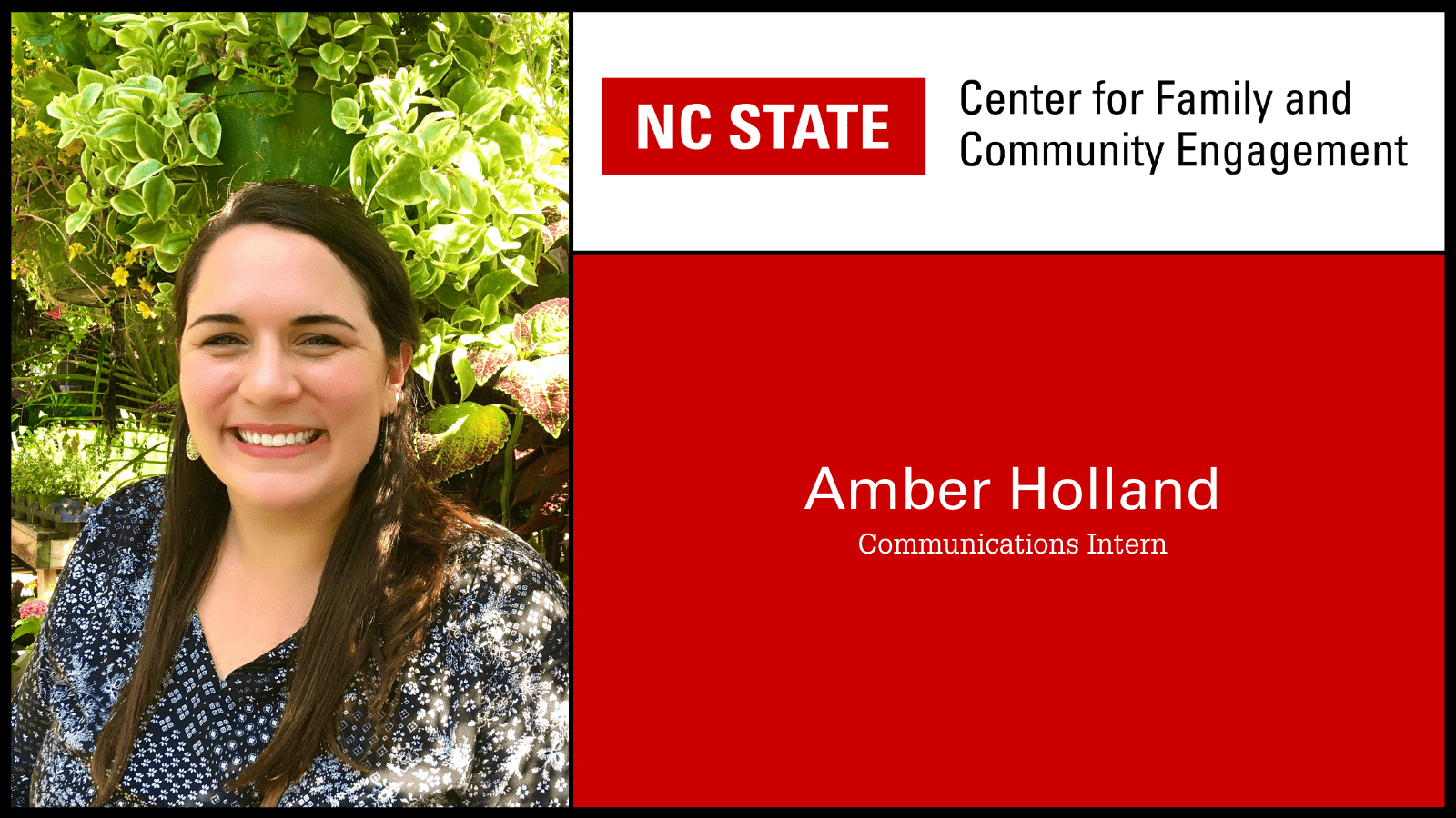 Meet Us Mondays: Amber Holland